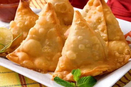 VEG SAMOSA